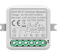Módulo de interruptor de atenuación WiFi SLS Tuya, relé de 2 vías, sistema de automatización del hogar inteligente Compatible con Alexa Google Assistant 16A Max
