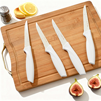 Couteaux à steak en acier inoxydable, lot de 16, couteau de table durable, blanc, à lame dentelée, manches en plastique professionnels, ambidextres