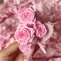 Mawar Chacha Multiflora yang Diawetkan |   Buket Bunga Kering ETERNAL Tie-dye Pelangi 50-60cm untuk Dekorasi Pernikahan dan Rangkaian Bunga Meja