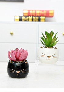セラミックかわいいペット猫ミニ漫画フラワーポット多肉植物用屋内装飾アクセサリー卸売り植物なし - Product Image 5
