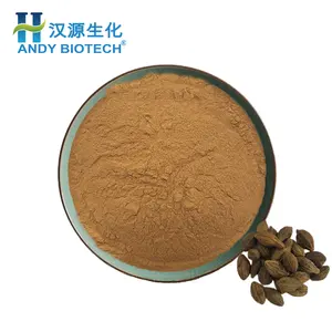 Terminalia Chebula Extract Top Quality Natural Terminalia Chebula Extract Powder/Terminalia Chebula Extract