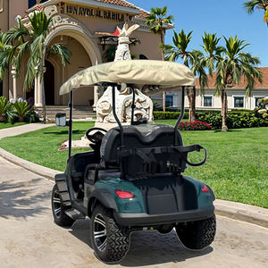 Carrito de Golf Eléctrico de 2 Plazas, Cero Emisiones, Certificado DOT/EEC, con Autonomía de 70-90 km y Velocidad de 50-70 km/h, para Clubes de Golf y Resorts - Product Image 1