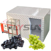 Four de séchage commercial pour la transformation alimentaire, machine de séchage automatique à commande PLC, entraînée par moteur, de type boîte à raisins