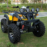 Véhicule tout-terrain de haute qualité, moto tout-terrain à quatre roues, 250CC, 2WD, 2x4, ATV automatique à transmission par chaîne, quad pour adultes