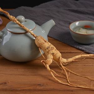 Ginseng Panax kering 20 tahun tumbuh di hutan semi liar ginseng dari pegunungan yang direndam dalam anggur - Product Image 2