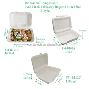 Bagasse Take Away 100% Biodegradable Packaging Sugarcane Bagasse Pulp 1000ml 9x6 Inch Food Container
