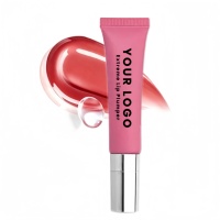 Gloss Repulpeur pour les Lèvres à Logo Personnalisé, Vente en Gros, Effet Volume Extrême au Capsicum et Collagène