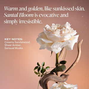 Manteca Corporal Multi-Lípidos de Marca Privada |   Complejo de Ceramidas, Aceite de Coco y Manteca de Karité |   Crema Corporal Hidratante de Espino Amarillo - Product Image 3