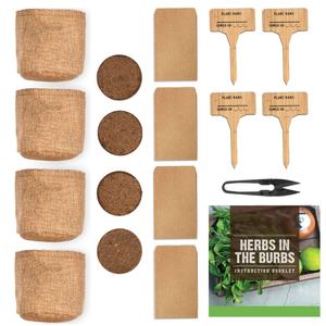 Produits de jardinage, ensemble de plantation, boîte à plantes et herbes pour le jardinage, vente en gros, kit de démarrage pour bonsaï - Product Image 3