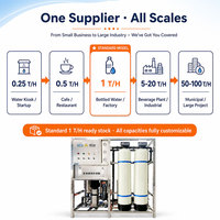 Machine à osmose inverse industrielle commerciale CE RoHS, 0,25-100 T/H, usine d'eau en bouteille personnalisable