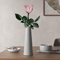 Konservierte Staubige Rosen Einzelstiel-Blumen für Frauen - Valentinstag & Muttertag Geschenk