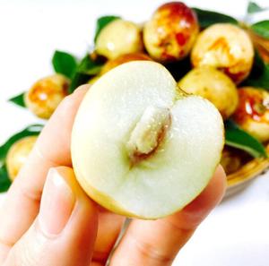 Chất Lượng Cao Dong Jujube Ngày Đặc Biệt Của Trung Quốc Tuyệt Vời Tươi Trái Cây Mùa Đông Táo Tàu - Product Image 3