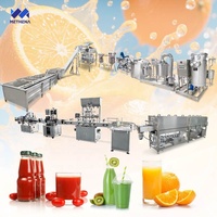 Chaîne de production complète de jus de fruits concentrés à petite échelle : Coût de la usine de fabrication de jus