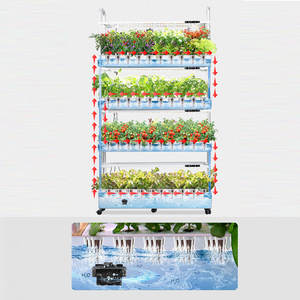 Kit de jardin hydroponique d'intérieur, éclairage LED intelligent <span class=keywords><strong>pour</strong></span> plantes, jardinière <span class=keywords><strong>pour</strong></span> cuisine, équipement d'irrigation et d'hydroponie, jardinière d'intérieur - Product Image 5