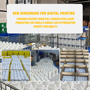 무료 샘플 DTF 색소 전사 필름 프린팅 잉크 1000ML DTF 잉크 (L1800 4720 I3200 R1390 프린터용) - Product Image 3