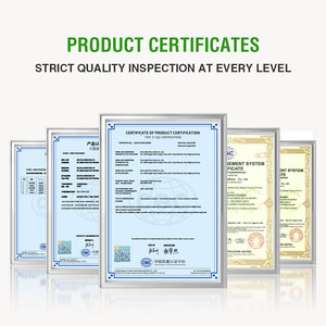 Jiqiang tốc độ cao Carbon động cơ bàn chải DC cho các công cụ điện và máy khoan - Product Image 5