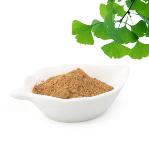 Bubuk ekstrak makanan 24% Flavones, bubuk ekstrak daun <span class=keywords><strong>Ginkgo</strong></span> <span class=keywords><strong>Biloba</strong></span>, ekstrak Herbal Stem UV metode uji kemasan Drum 1kg - Product Image 2