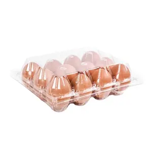 Ucuz fiyat Custom Made şeffaf geri dönüşümlü Pet plastik 6 adet kapaklı yüksek kaliteli yumurta tepsisi