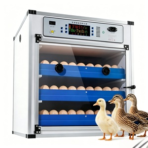 Nouveau <span class=keywords><strong>prix</strong></span> usine – Équipement <span class=keywords><strong>d</strong></span>'incubation intelligent multifonctionnel pour œufs de poulet, canard et <span class=keywords><strong>oie</strong></span> (68-340 œufs) – Taux <span class=keywords><strong>d</strong></span>'éclosion de 98 % - Product Image 1