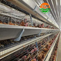 Les cages à poules de type H de haute qualité sont robustes et durables.