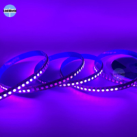 Bandes LED numériques RVBIC SMD 5050 RVB programmables intelligentes et flexibles Dream Color Addressable 12V WS2815