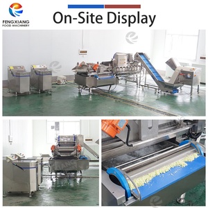 Línea de Procesamiento de Col Fresca a Pequeña y Mediana Escala: Máquina para Cortar, Lavar y Centrifugar la Col - Product Image 3