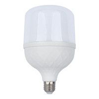 Ampoule LED haute puissance 9 W 20W 40W E27 Ampoules LED à corps en aluminium étanche