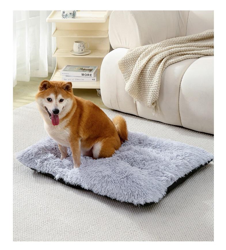 สีเทาอ่อน