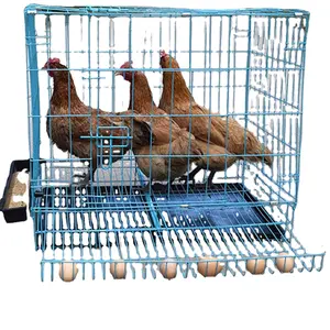 Ferme de poulet en métal, fabricant en gros, cage de poulailler pliante, cages de poulailler