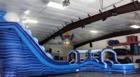 Château gonflable commercial en PVC écologique pour enfants et adultes, grand modèle pour location événementielle