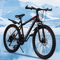 Vélo/Montain Bike Original 2025 de Haute Qualité en Promotion Directe Usine à Bon Prix