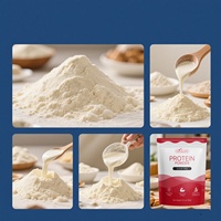 Biochealth GMP OEM Marque Privée Poudre de Protéine Végétalienne Poudre de Protéine de Lactosérum Suppléments d'Acides Aminés BCAA