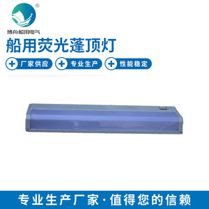 Lámpara de Techo Fluorescente ZYP20-2E, Luminaria Marina de Acero para Compartimentos Secos, Luminaria Marina en Forma de Domo, CCS para Barcos - Product Image 2