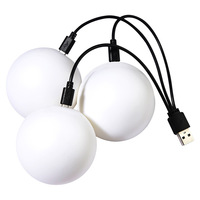 Balle de jonglage en plastique lumineuse ARYDA LED 65 mm avec câble de charge USB pour jeu parent-enfant nocturne en extérieur, emballage en sac en filet
