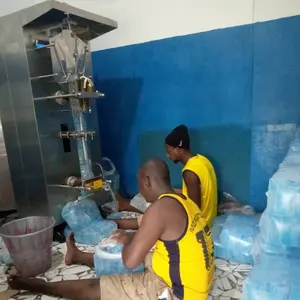 Choisir 500lph tout inoxydable avec UV haute efficacité Sachet eau pure faisant le remplissage scellage prix de la machine d'emballage au Ghana