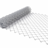 En stock Clôture grillagée galvanisée à mailles losangées, mailles de 25-100 mm, fils de 1,20-5,0 mm, Expédition rapide, pour la sécurité des fermes et des cours