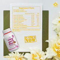 Cápsulas de Complejo Vitamínico B en Oferta para el Mantenimiento Diario General para Quienes Buscan Bienestar, Suministro de Fábrica con Etiqueta Privada OEM