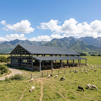 Abri pour moutons en structure acier personnalisée, type pignon, OEM ODM, abri pour bétail avec options de conception à extrémité ouverte en maille, certifié CE