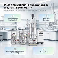 Système de Fermentation Multi-Étapes en Acier Inoxydable avec Agitation Mécanique et Contrôle PID, Capacité 5L-50000L, pour la Fermentation des Acides Aminés