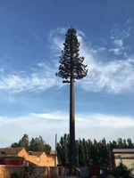 Torre de Telecomunicaciones Camuflada Tipo Árbol Biónico para 4G/5G, Mástil de Acero Galvanizado en Caliente con Tubo Redondo para Zonas Residenciales, Parques y Áreas Escénicas