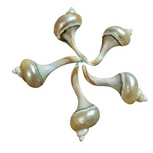 Vietnam Natural Mother of Pearl Shell Chopstick Stand for <b>Japanese</b> Dining Seafood Restaurants Beach Weddings <b>BBQ</b> and Gifts - Product Image 1