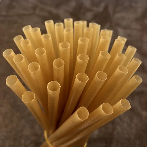 Pailles de canne à sucre biodégradables