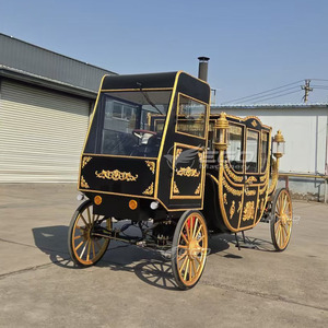 2026 Chariot royal électrique de luxe noir du fabricant chinois, équipement de parc d'attractions à vendre - Product Image 5