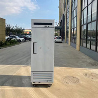 Congélateur à blast vertical à double porte en acier inoxydable 360L pour viande, congélation rapide, congélateur à blast pour légumes 2022