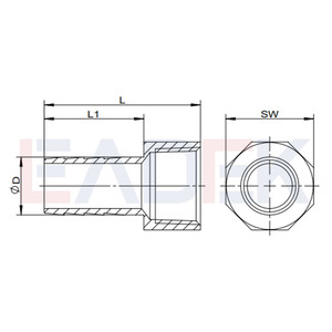 BSP BSPT <span class=keywords><strong>NPT</strong></span> Chủ Đề SS304 <span class=keywords><strong>SS316</strong></span> Đúc Ống Lắp Nối Ống Thép Không Gỉ Ống Núm Vú Nữ Liên Minh - Product Image 4