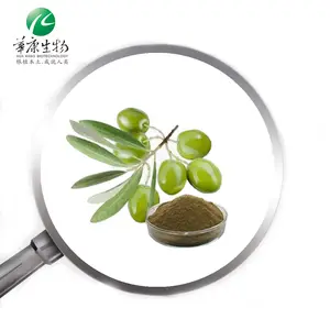 Factory Supply Olive Leaf Extract 25% Hydroxytyrosol Powder Free HPLC Herbal Extract Health Food Cosmetic & Medical Grade CN;HUN