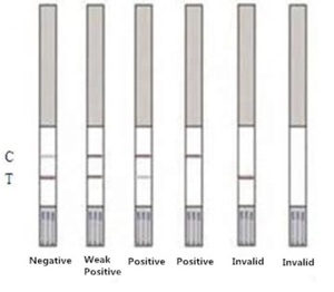 HiYi <strong>Milk</strong> Antibiotic Rapid <strong>Test</strong> <strong>Kit</strong> Beta-lactams + Tetracyclines + Ceftiofur + Cephalexin - Product Image 5