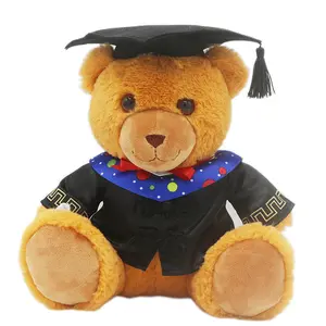 Kişiselleştirilmiş 2024 mezuniyet Teddy Bear hediye sevimli özel peluş ayı elbisesi kap püskül ile