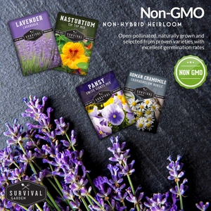 4 kits de flores para jardín doméstico incluyen Lavanda y Manzanilla romana y capuchina y pensamiento - Product Image 3