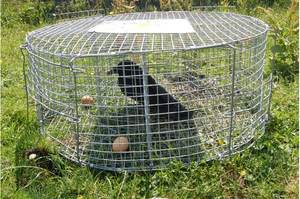Goedkope Liebang Live Vogel Vallen voor Magpies Duiven Crows Mussen voor Sales - Product Image 4